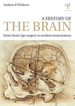 Seller image for A History of the Brain : From Stone Age Surgery to Modern Neuroscience for sale by AHA-BUCH GmbH