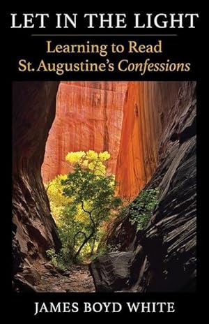Bild des Verkufers fr Let in the Light : Learning to Read St. Augustine's Confessions zum Verkauf von AHA-BUCH GmbH