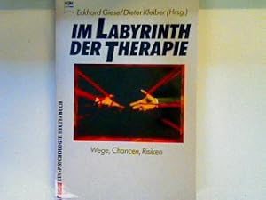 Seller image for Im Labyrinth der Therapie: Wege, Chancen, Risiken for sale by books4less (Versandantiquariat Petra Gros GmbH & Co. KG)