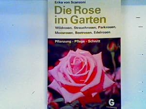 Imagen del vendedor de Die Rose im Garten (Nr.2651) a la venta por books4less (Versandantiquariat Petra Gros GmbH & Co. KG)