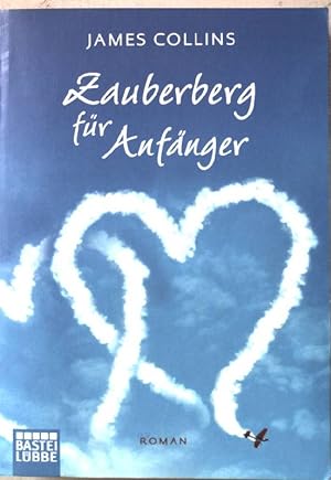 Seller image for Zauberberg fr Anfnger : Roman. Nr.16379 for sale by books4less (Versandantiquariat Petra Gros GmbH & Co. KG)