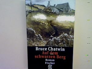 Seller image for Auf dem schwarzen Berg: Roman for sale by books4less (Versandantiquariat Petra Gros GmbH & Co. KG)