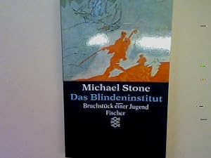 Seller image for Das Blindeninstitut: Bruchstck einer Jugend. for sale by books4less (Versandantiquariat Petra Gros GmbH & Co. KG)