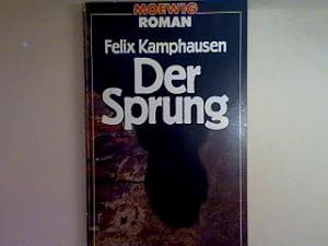 Immagine del venditore per Der Sprung. Nr. 2272, venduto da books4less (Versandantiquariat Petra Gros GmbH & Co. KG)