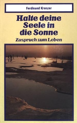 Bild des Verkufers fr Halte deine Seele in die Sonne: Zuspruch zum Leben. (Nr. 189) zum Verkauf von books4less (Versandantiquariat Petra Gros GmbH & Co. KG)