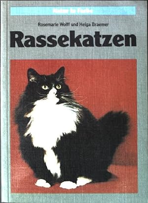 Seller image for Rassekatzen. for sale by books4less (Versandantiquariat Petra Gros GmbH & Co. KG)