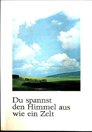 Bild des Verk�ufers f�r Du spannst den Himmel aus wie ein Zelt zum Verkauf von books4less (Versandantiquariat Petra Gros GmbH & Co. KG)