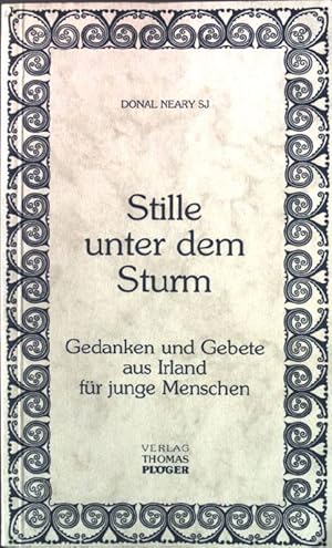 Seller image for Stille unter dem Sturm: Gedanken und Gebete aus Irland fr junge Menschen. for sale by books4less (Versandantiquariat Petra Gros GmbH & Co. KG)