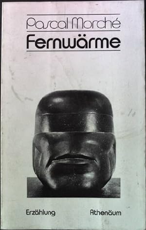 Seller image for Fernwrme for sale by books4less (Versandantiquariat Petra Gros GmbH & Co. KG)