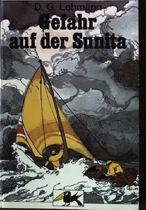 Seller image for Gefahr auf der Sunita. R. Brockhaus Raben-Buch 212 for sale by books4less (Versandantiquariat Petra Gros GmbH & Co. KG)