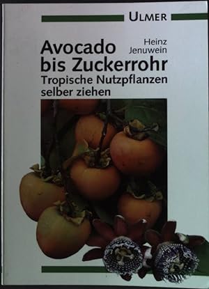 Imagen del vendedor de Avocado bis Zuckerrohr Ulmer Taschenbuch 28 a la venta por books4less (Versandantiquariat Petra Gros GmbH & Co. KG)