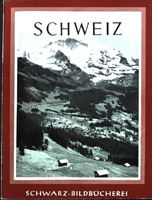 Seller image for Schweiz. for sale by books4less (Versandantiquariat Petra Gros GmbH & Co. KG)