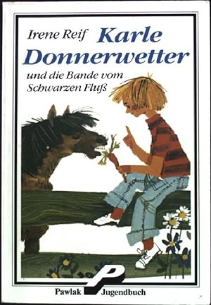 Seller image for Karle Donnerwetter und die Bande vom schwarzen Flu. for sale by books4less (Versandantiquariat Petra Gros GmbH & Co. KG)