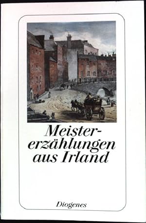 Seller image for Meistererzhlungen aus Irland : Geschichten von Frank O'Connor bis Bernard Mac Laverty. Diogenes-Taschenbuch ; 22748 : detebe-Anthologien for sale by books4less (Versandantiquariat Petra Gros GmbH & Co. KG)