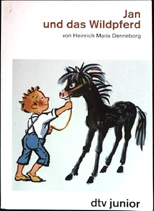 Seller image for Jan und das Wildpferd. dtv ; 70211 : dtv junior for sale by books4less (Versandantiquariat Petra Gros GmbH & Co. KG)