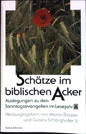 Bild des Verkufers fr Schtze im biblischen Acker: Im Lesejahr A zum Verkauf von books4less (Versandantiquariat Petra Gros GmbH & Co. KG)