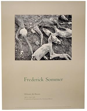 Seller image for Frederick Sommer for sale by Jeff Hirsch Books, ABAA