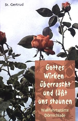 Seller image for Gottes Wirken berrascht und lt uns staunen - Wallfahrtssttte Drnschlade. for sale by books4less (Versandantiquariat Petra Gros GmbH & Co. KG)