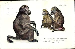 Künstler Ansichtskarte / Postkarte Südafrikanische Bärenpaviane, Zoologischer Garten Berlin