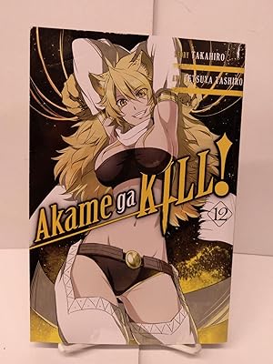 Akame ga KILL!, Vol. 12