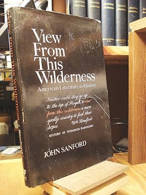 Seller image for View from This Wilderness: American Literature As History for sale by Henniker Book Farm and Gifts