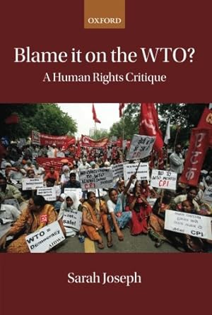 Seller image for Blame it on the Wto?: A Human Rights Critique for sale by WeBuyBooks