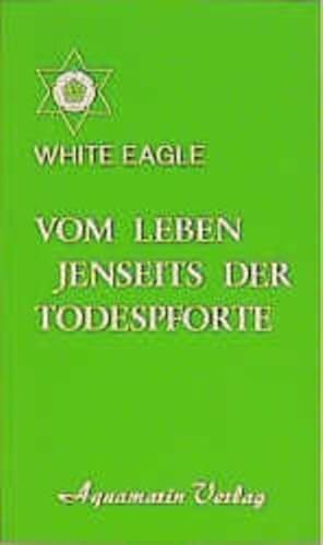 Vom Leben jenseits der Todespforte. Ein Buch, das Trost spendet und wahres Wissen vermittelt