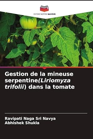 Bild des Verkufers fr Gestion de la mineuse serpentine(Liriomyza trifolii) dans la tomate zum Verkauf von moluna