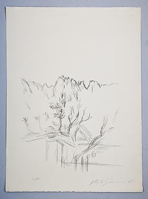 Alberto Giacometti, orig. Lithografie, Paysage aux arbres et aux montagnes en Bregaglia