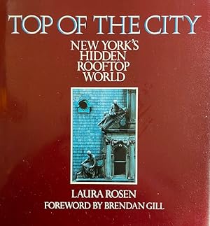 Top of the City: New York's Hidden Rooftop World