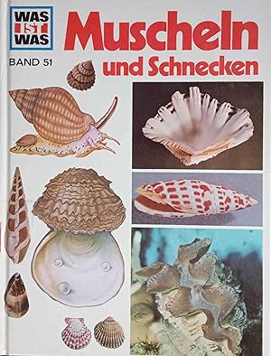 Muscheln und Schnecken. von. Ill. von Anne-Lies Ihme. Fotos von Walter Hähnel. Red.: Käte Hart u....