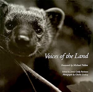 Seller image for Voices of the Land for sale by Randall's Books