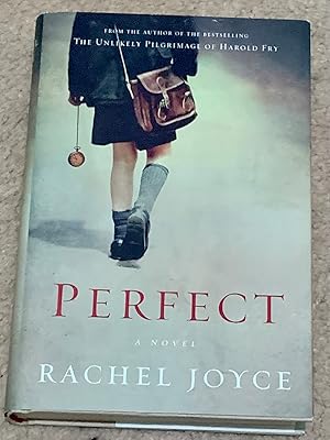 Perfect: A Novel