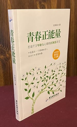 Imagen del vendedor de The Positive Energy of Youth (Chinese Edition) a la venta por Palimpsest Scholarly Books & Services