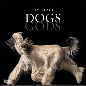 Imagen del vendedor de Dogs Gods (Hardcover) a la venta por AussieBookSeller