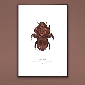 Aureus Aequor A4 Limited Edition Print