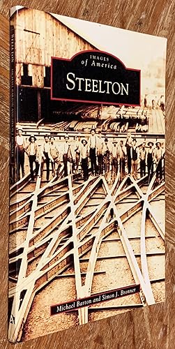 Seller image for Steelton for sale by DogStar Books