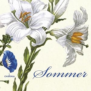 Bild des Verkufers fr Sommer: Ein Poesiealbum - zusammengestellt von Gnter Berg zum Verkauf von Versandantiquariat Felix Mcke