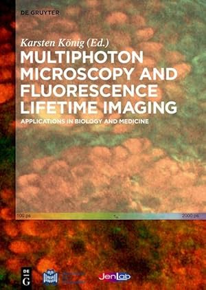 Bild des Verkufers fr Multiphoton Microscopy and Fluorescence Lifetime Imaging zum Verkauf von moluna