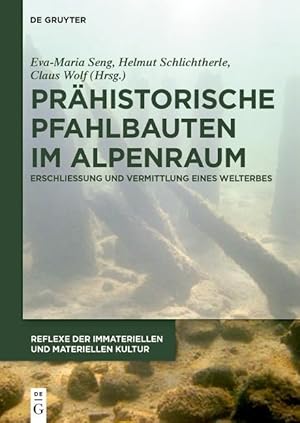 Bild des Verkufers fr Praehistorische Pfahlbauten im Alpenraum zum Verkauf von moluna