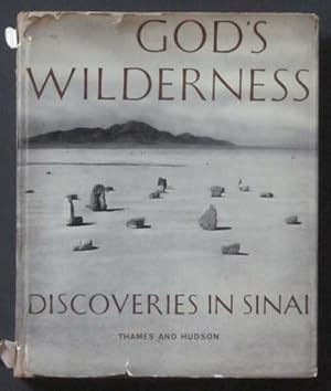 God's Wilderness: Discoveries in Sinai