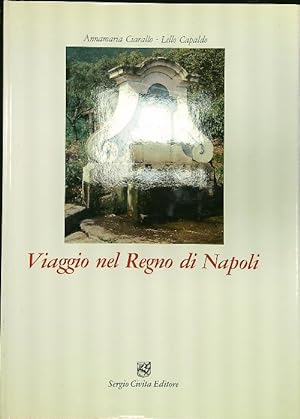 Bild des Verkufers fr Viaggio nel Regno di Napoli zum Verkauf von Librodifaccia