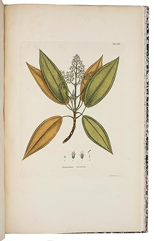 Icones plantarum incognitarum quas in India Occidental.Erlangen, Johann Jacob Palm, 1794-[1800]. ...