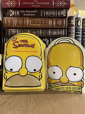 Seller image for The Simpsons: Season 6 for sale by Chamblin Bookmine