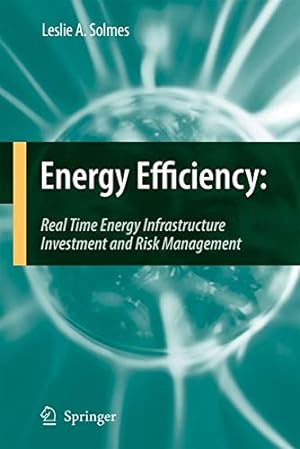 Bild des Verkufers fr Energy Efficiency: Real Time Energy Infrastructure Investment and Risk Management zum Verkauf von WeBuyBooks