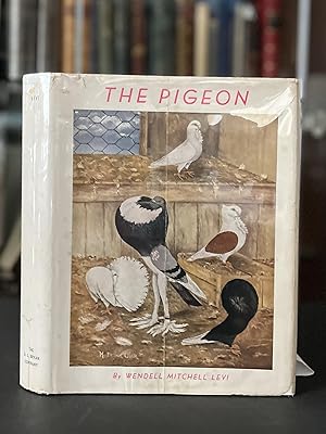 Seller image for THE PIGEON. for sale by Bjarne Tokerud Bookseller