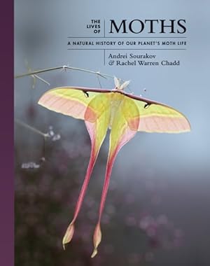 Seller image for Lives of Moths : A Natural History of Our Planet's Moth Life for sale by GreatBookPricesUK