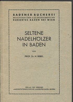 Seltene Nadelhölzer in Baden.