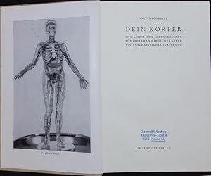 Image du vendeur pour Dein Krper. Eine Lebens- und Menschenkunde fr Jedermann im Lichte neuer wissenschaftlicher Forschung. mis en vente par Antiquariat Bookfarm