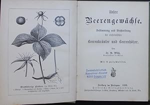 Seller image for Unsere Beerengewchse. for sale by Antiquariat Bookfarm